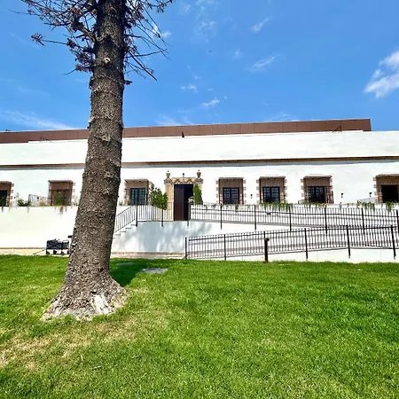 Gatu Premium Palacio Winthuyssen 