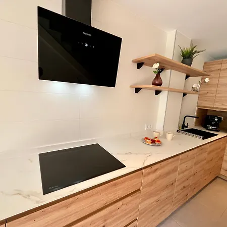 Gatu Premium Palacio Winthuyssen 