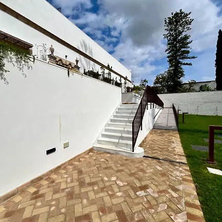 Gatu Premium Palacio Winthuyssen 